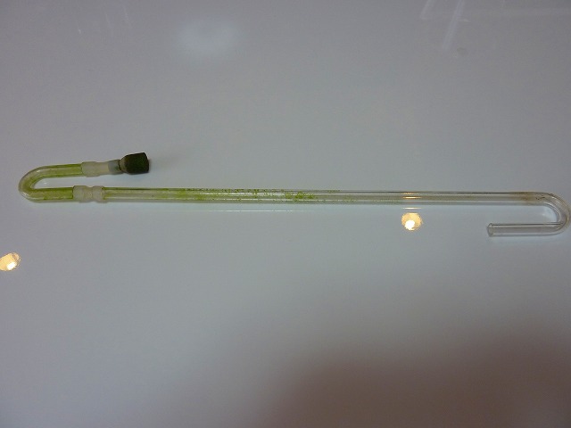 a0121134_204760.jpg