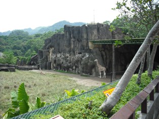 a0129636_11203480.jpg