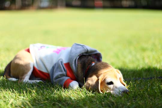 a0042044_2383911.jpg