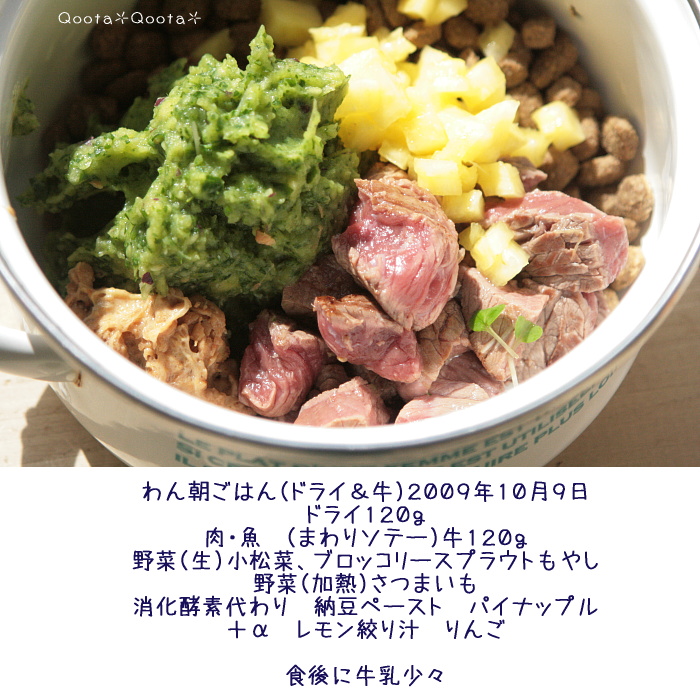 a0116048_2542080.jpg