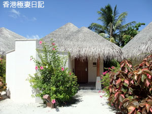 f0190653_9211812.jpg