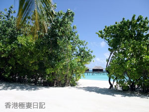 f0190653_9214681.jpg