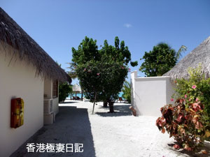 f0190653_921610.jpg