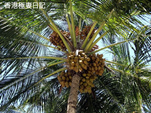 f0190653_9225087.jpg