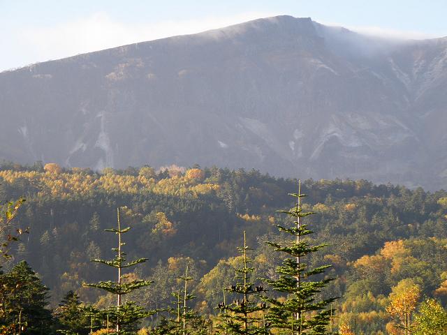 e0136962_6542555.jpg