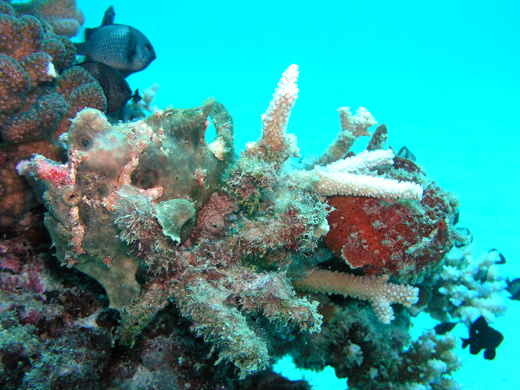b0062363_20512448.jpg