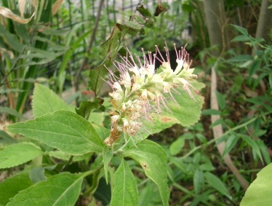 c0186463_18203251.jpg
