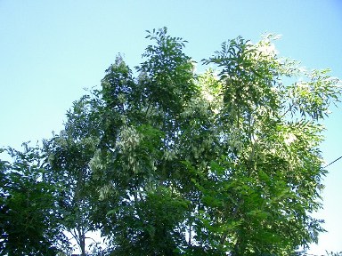 c0186463_18252193.jpg