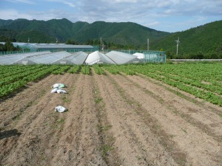 f0055264_21193578.jpg