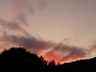 f0055264_22141353.jpg