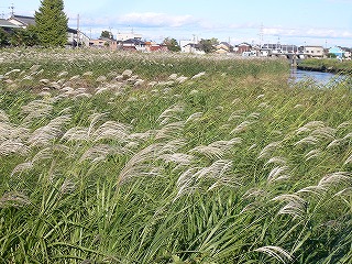 f0106664_76188.jpg