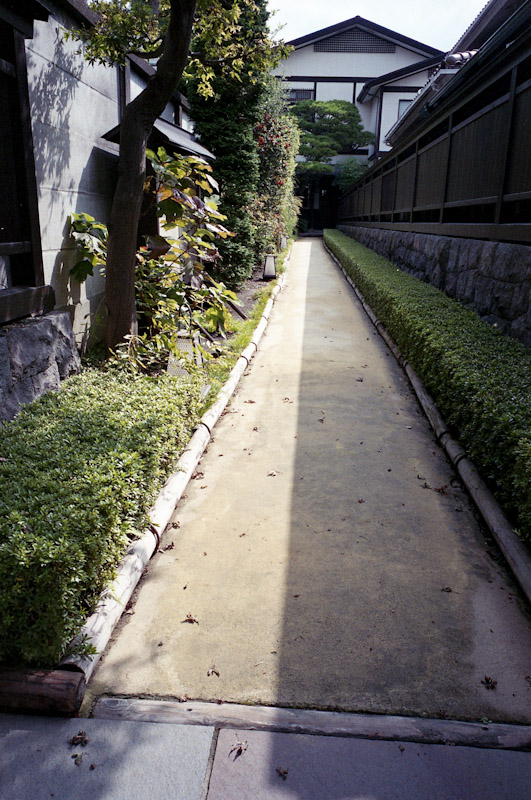 c0084666_1203479.jpg