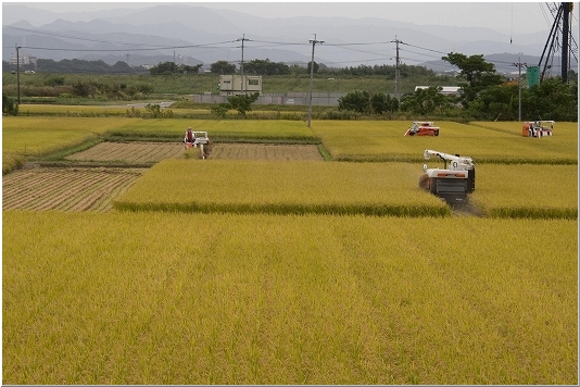 d0102968_8582989.jpg