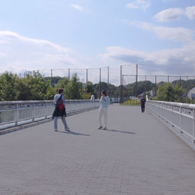 f0016868_23282799.jpg