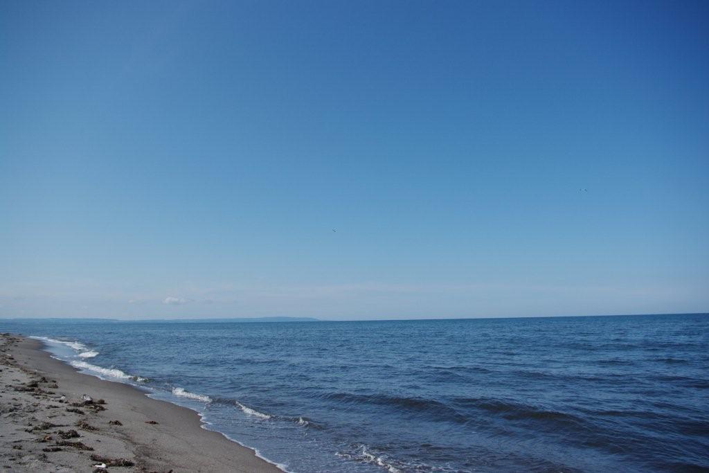 b0165778_19613.jpg