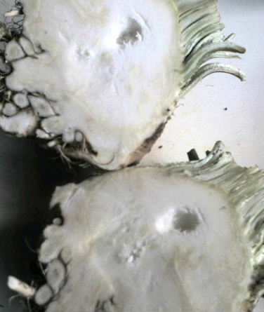 f0039281_1236171.jpg