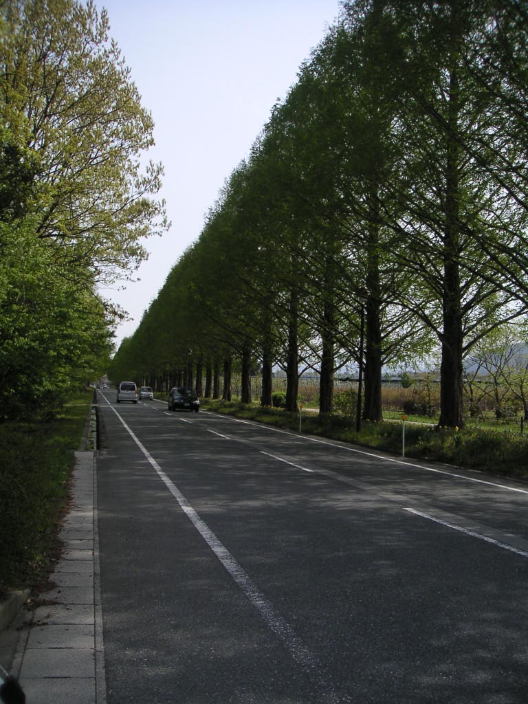 e0023183_033246.jpg