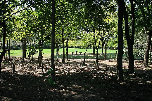 e0190885_20141460.jpg