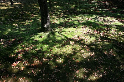 e0190885_20161076.jpg