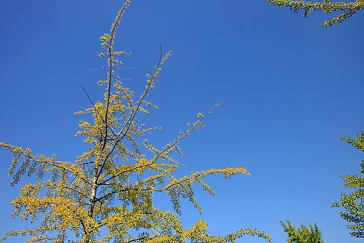 e0190885_201636.jpg