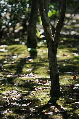 e0190885_20172591.jpg