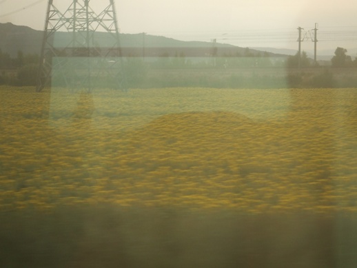 e0030488_13422876.jpg