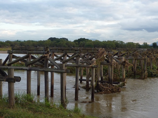 a0118289_16243146.jpg