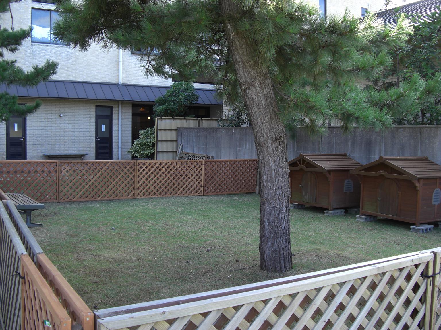 f0131491_14462560.jpg