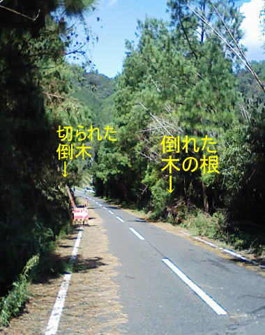 c0087392_2020685.jpg