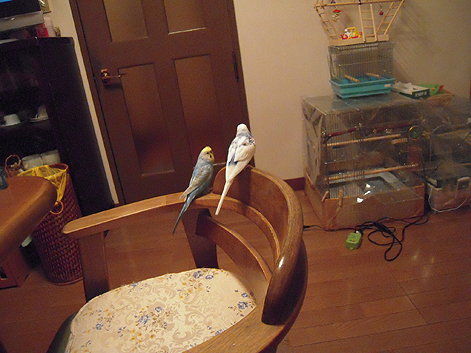d0131293_1941721.jpg