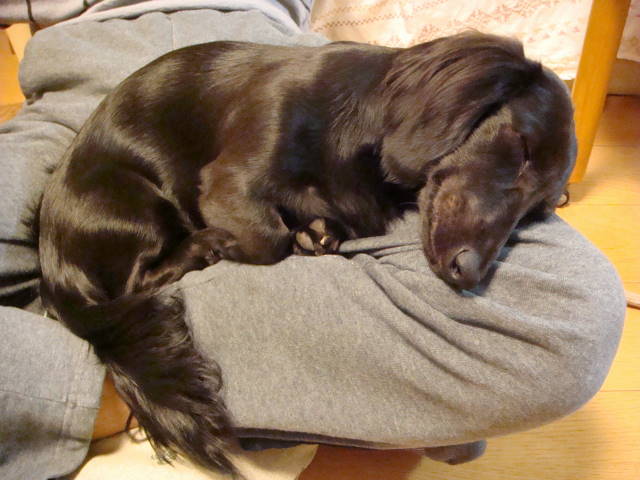 d0098295_23154910.jpg