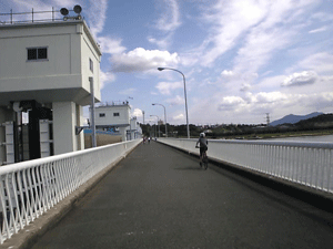 b0174996_21201940.gif