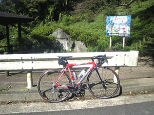 b0174996_21254654.gif