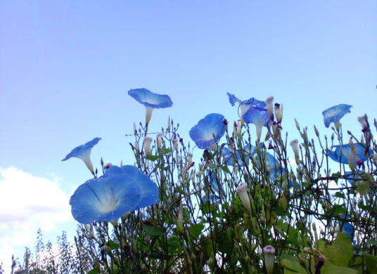 e0025596_2238117.jpg