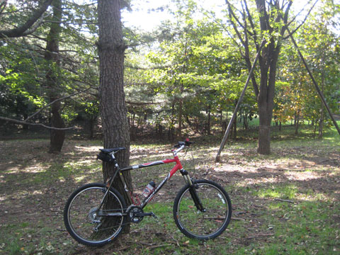 b0097200_10433148.jpg