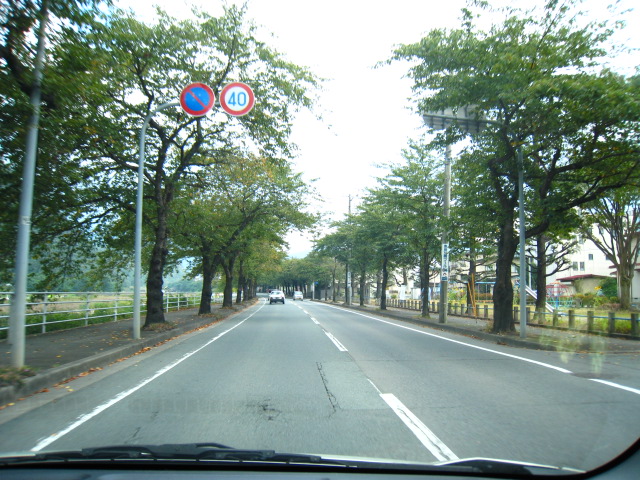 d0121300_1159383.jpg