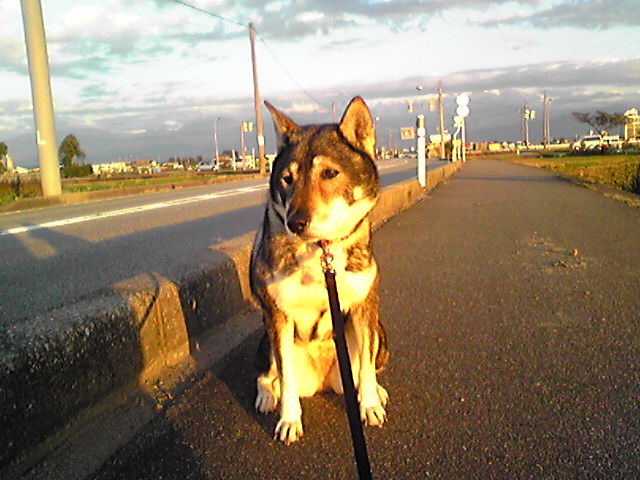 f0079202_21564697.jpg