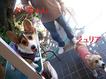 c0126703_15295728.jpg