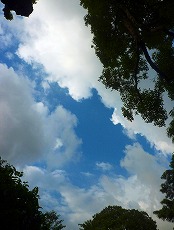 c0148705_14321458.jpg