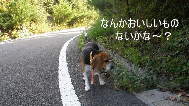 c0205806_2220224.jpg