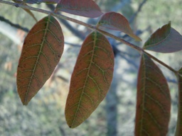 c0205806_2247302.jpg