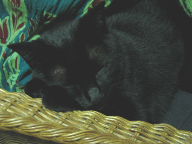 e0050111_045281.jpg