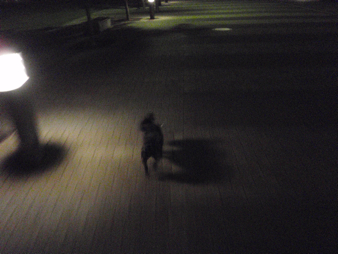 b0143214_013659.jpg