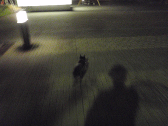 b0143214_022213.jpg