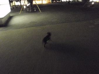 b0143214_023887.jpg