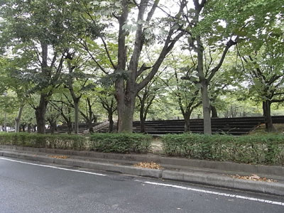 c0103119_1158211.jpg