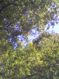 e0112619_22391069.jpg