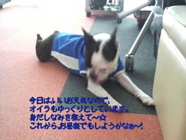 f0190426_10554522.jpg