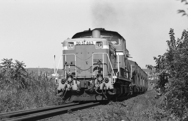 f0203926_21454827.jpg