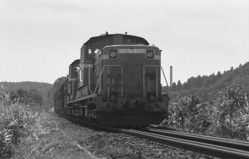 f0203926_2146197.jpg